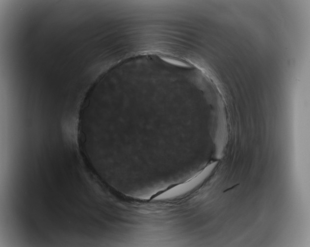 X0000088690434200706141415
