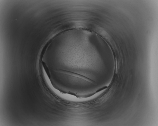 X0000088690435200706141415