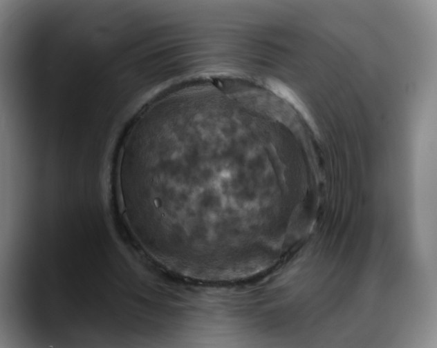 X0000088690436200706141415
