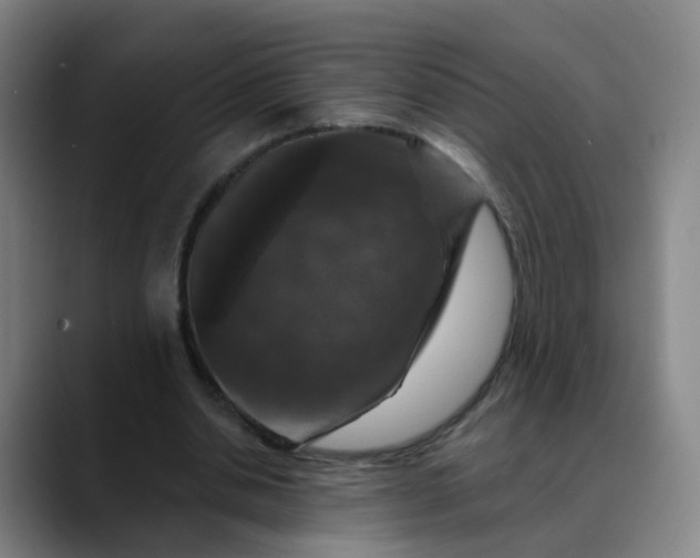 X0000088690438200706141415