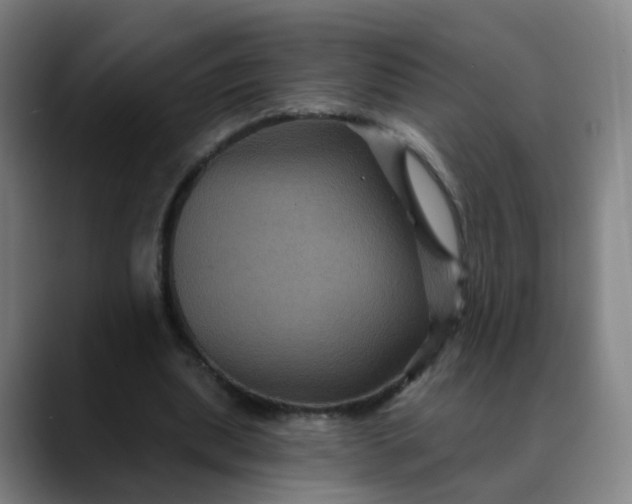 X0000088690439200706141415