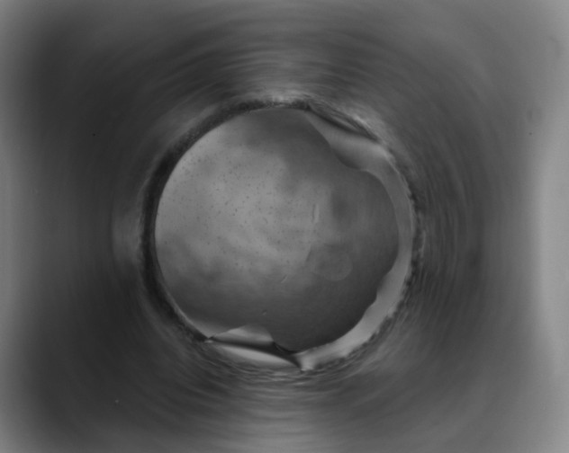 X0000088690440200706141415