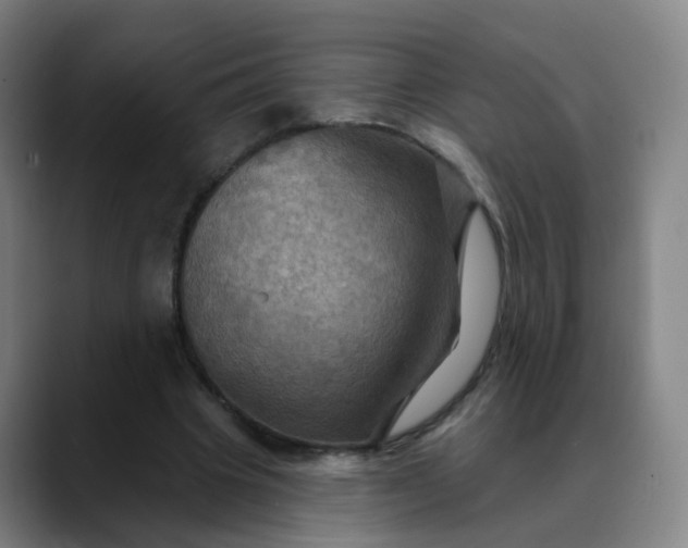 X0000088690441200706141415