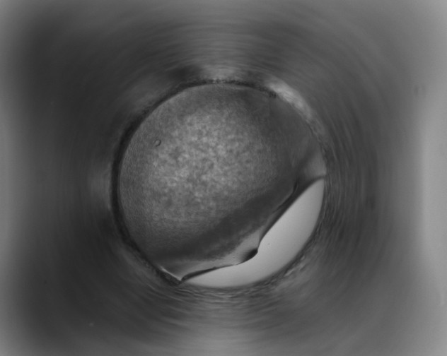 X0000088690442200706141415