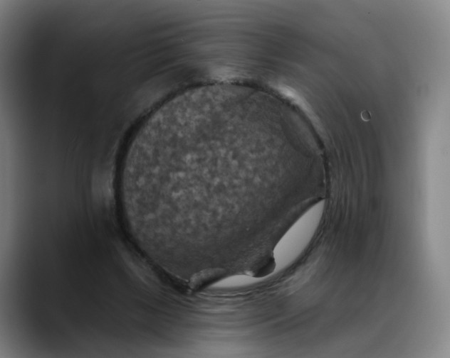 X0000088690443200706141415