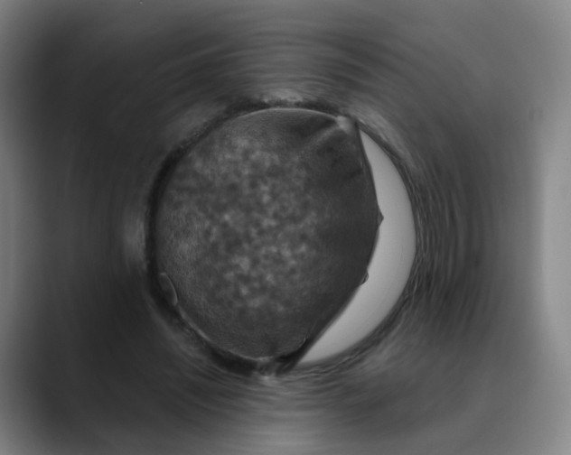 X0000088690444200706141415