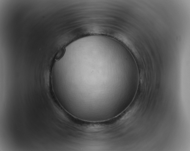 X0000088690445200706141415