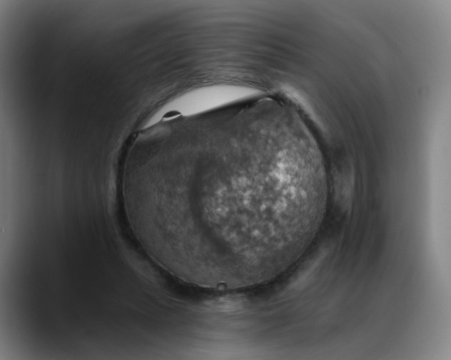 X0000088690447200706141415