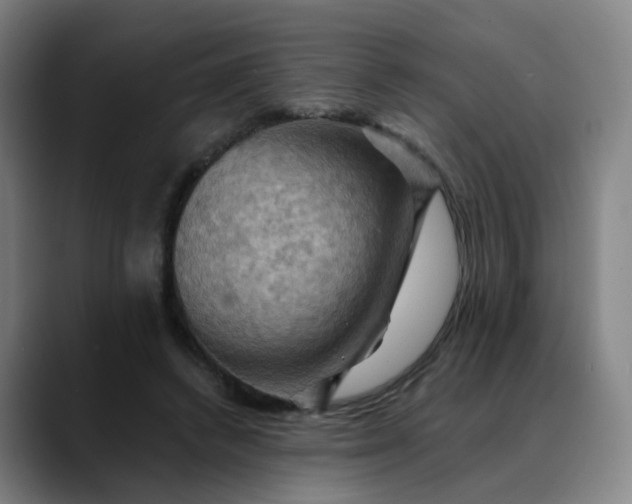 X0000088690448200706141415