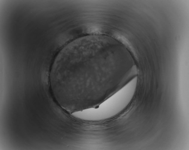 X0000088690449200706141415