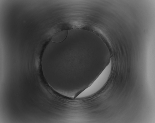 X0000088690451200706141415