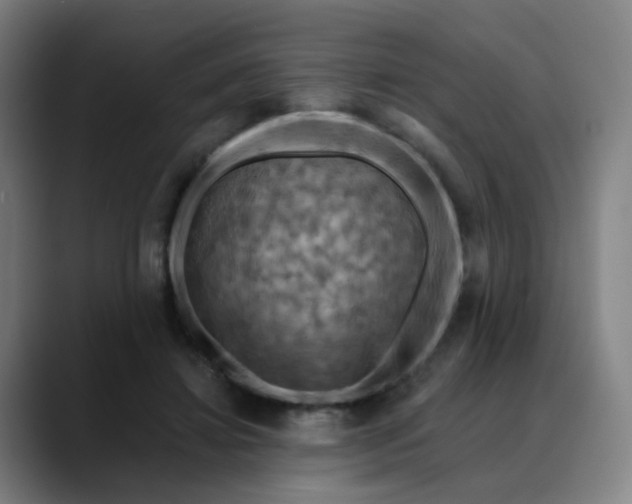 X0000088690452200706141415