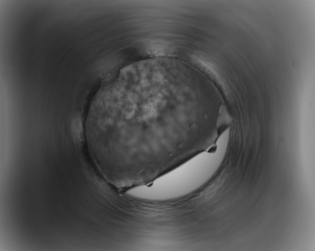 X0000088690453200706141415