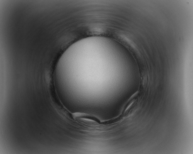 X0000088690455200706141415