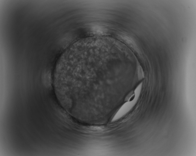 X0000088690457200706141415