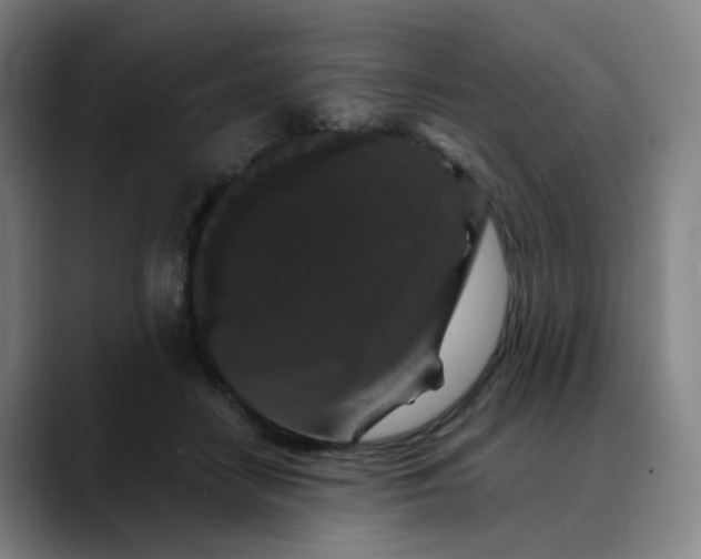X0000088690458200706141415