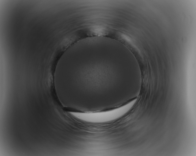 X0000088690459200706141415