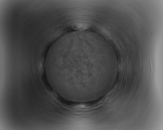 X0000088690460200706141415