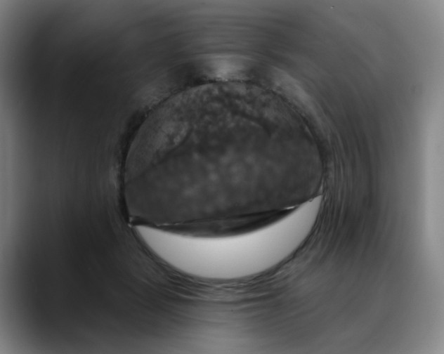 X0000088690461200706141415