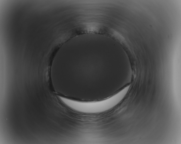 X0000088690462200706141415