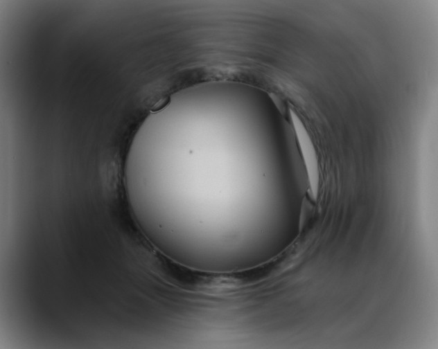 X0000088690463200706141415