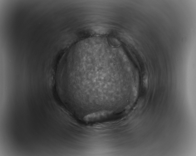 X0000088690464200706141415