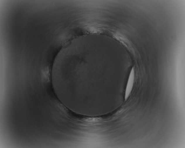 X0000088690465200706141415