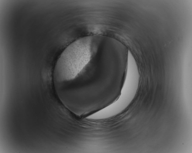 X0000088690466200706141415