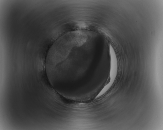 X0000088690467200706141415
