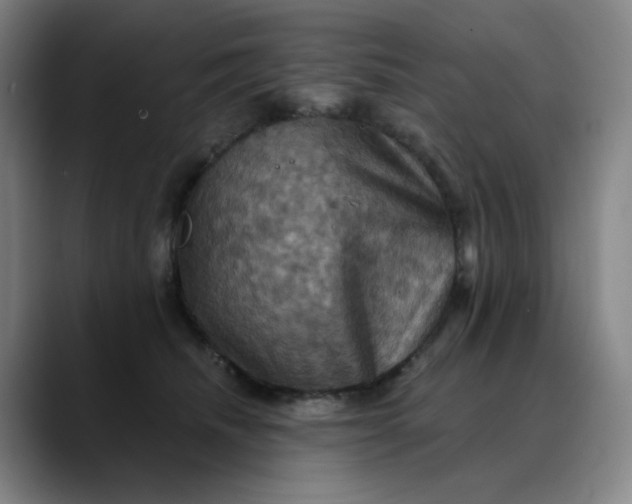 X0000088690468200706141415