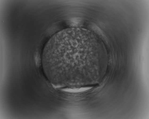 X0000088690469200706141415