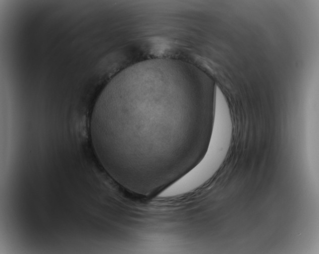 X0000088690470200706141415