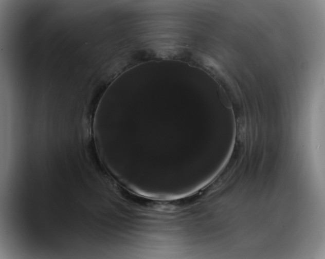 X0000088690471200706141415