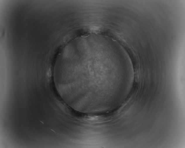 X0000088690472200706141415
