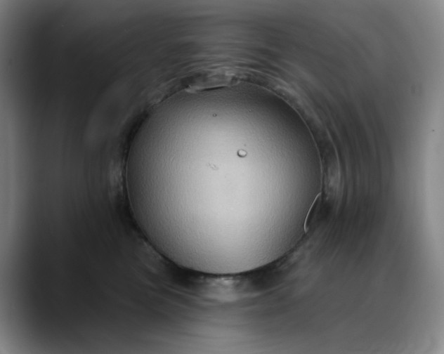 X0000088690473200706141415