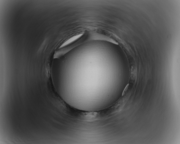 X0000088690474200706141415