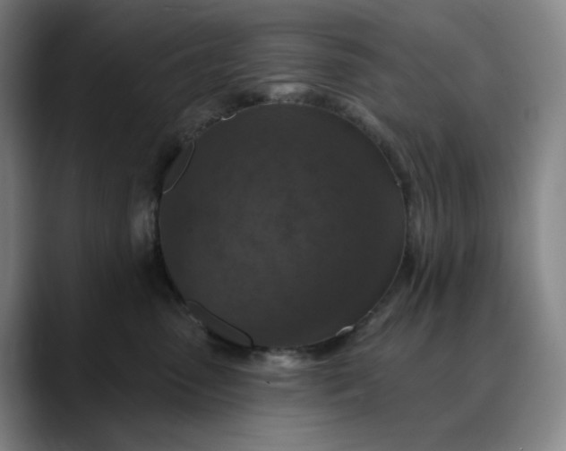X0000088690475200706141415