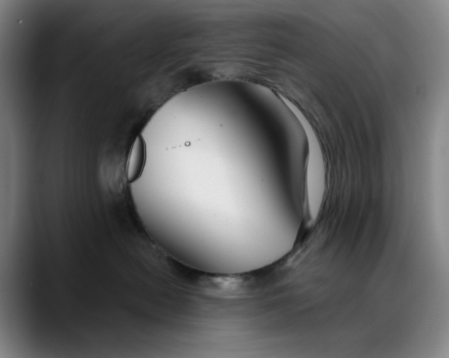 X0000088690478200706141415