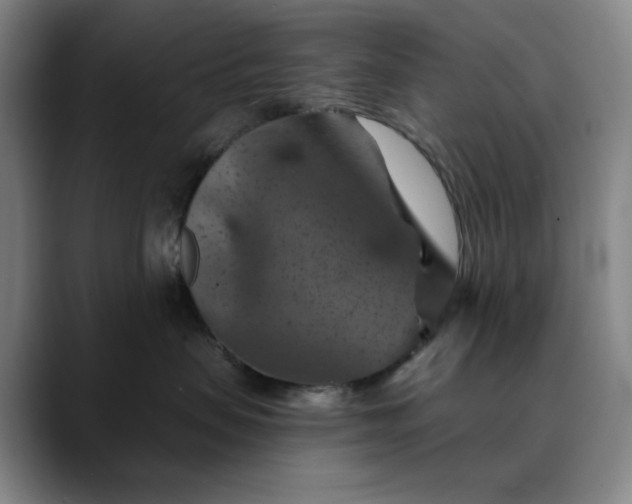 X0000088690479200706141415
