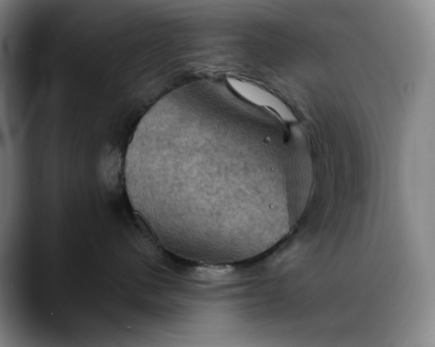 X0000088690480200706141415