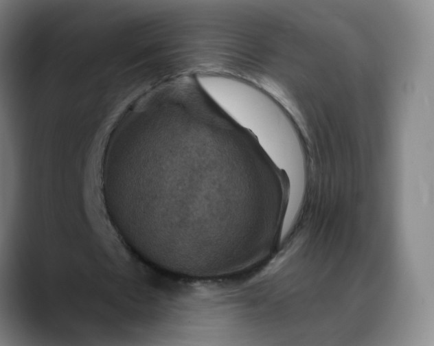 X0000088690481200706141415
