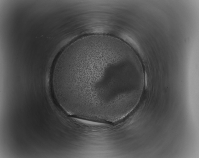 X0000088690483200706141415