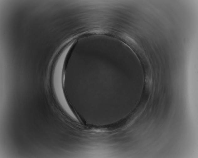 X0000088690484200706141415