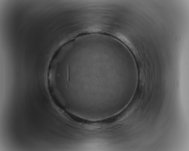 X0000088690485200706141415