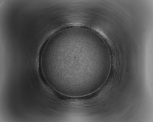 X0000088690486200706141415