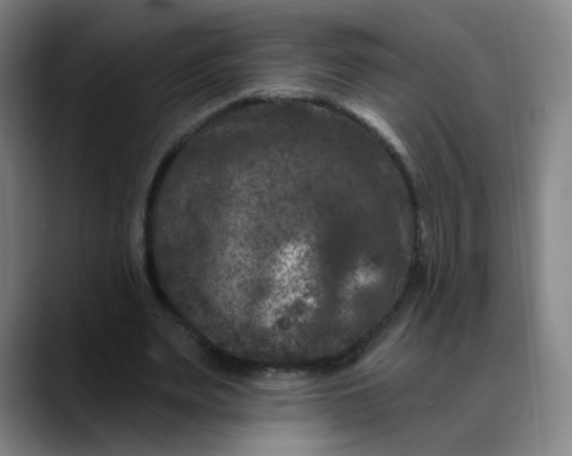 X0000088690487200706141415