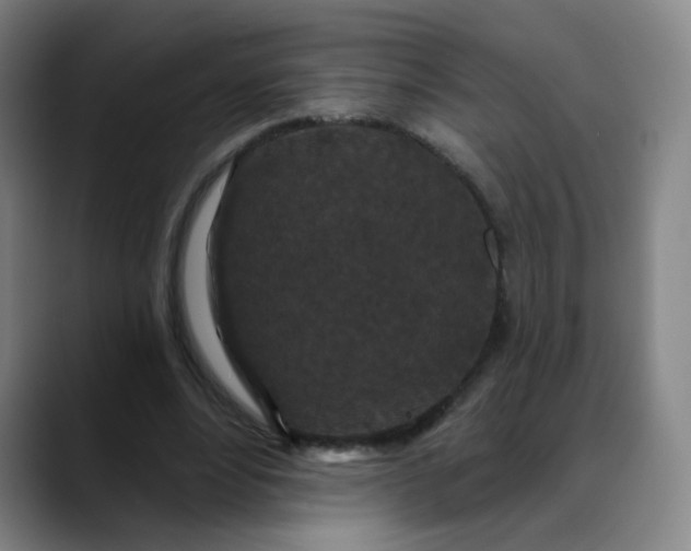 X0000088690488200706141415