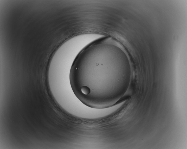 X0000088690489200706141415