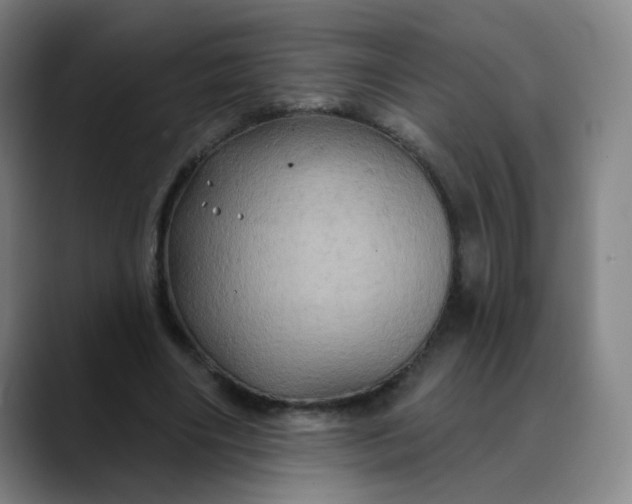 X0000088690490200706141415