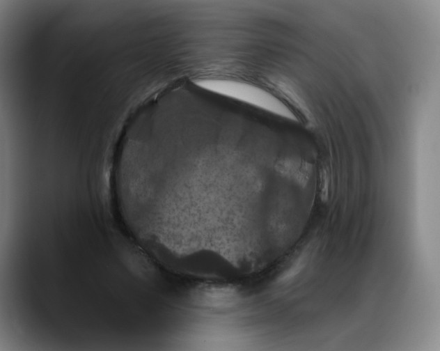 X0000088690491200706141415